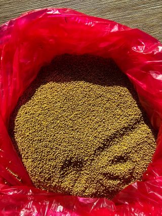 홍천산채농원님의 자유주제 · 자유게시판 작성글 사진