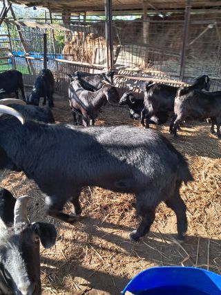 김석현님의 자유주제 · 자유게시판 작성글 사진