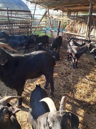 김석현님의 자유주제 · 자유게시판 작성글 사진