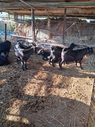 김석현님의 자유주제 · 자유게시판 작성글 사진