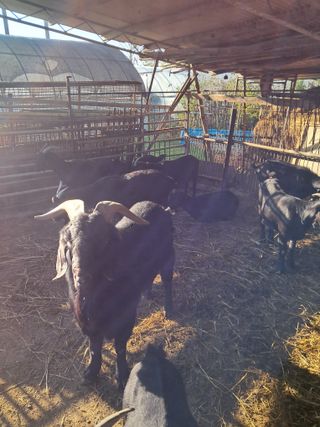 김석현님의 자유주제 · 자유게시판 작성글 사진