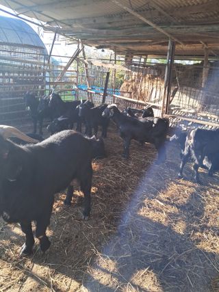 김석현님의 자유주제 · 자유게시판 작성글 사진