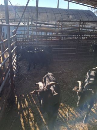 김석현님의 자유주제 · 자유게시판 작성글 사진