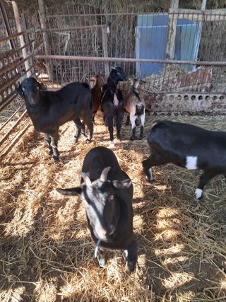 김석현님의 자유주제 · 자유게시판 작성글 사진