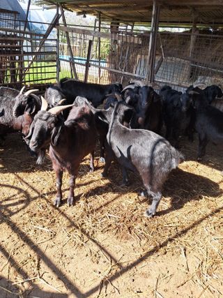김석현님의 자유주제 · 자유게시판 작성글 사진