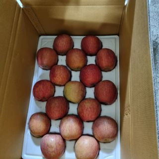 황대규님의 작성글 사진