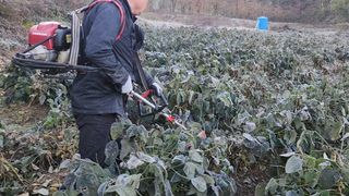 임원식님의 자유주제 · 자유게시판 작성글 사진