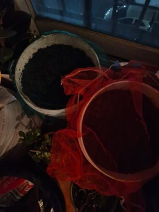 종이박님의 자유주제 · 자유게시판 작성글 사진