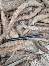 팜모닝 · 게시글 이미지