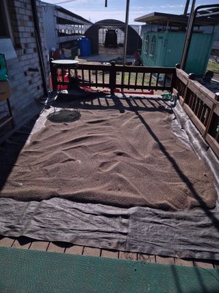 김기철님의 들깨 · 영농일지 작성글 사진