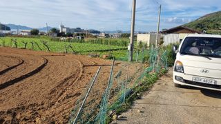 돌산갓농부(김승렬)님의 기타작물 · 영농일지 작성글 사진