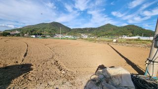 돌산갓농부(김승렬)님의 기타작물 · 영농일지 작성글 사진