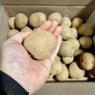 김웅래님의 작성글 사진