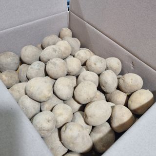 김웅래님의 작성글 사진