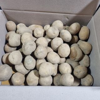 김웅래님의 작성글 사진