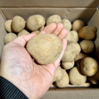 김웅래님의 작성글 사진