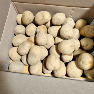 김웅래님의 작성글 사진