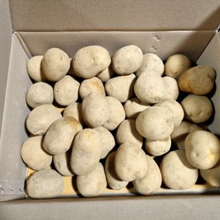 김웅래님의 작성글 사진