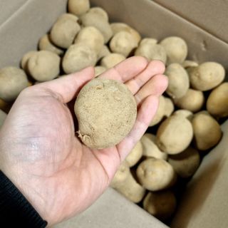 김웅래님의 작성글 사진