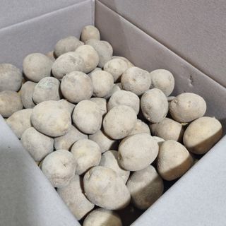 김웅래님의 작성글 사진