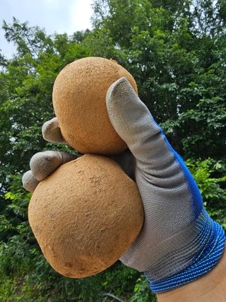 김웅래님의 작성글 사진