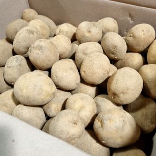 김웅래님의 작성글 사진