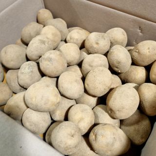 김웅래님의 작성글 사진