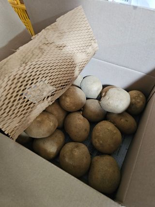 김웅래님의 작성글 사진