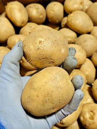 김웅래님의 작성글 사진