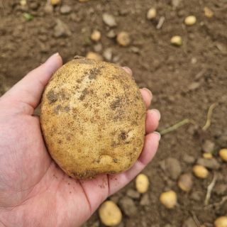 김웅래님의 작성글 사진