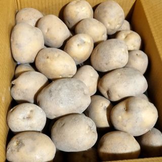 김웅래님의 작성글 사진