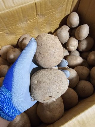 김웅래님의 작성글 사진