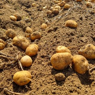 김웅래님의 작성글 사진