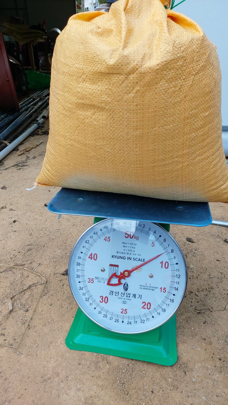 금익수님의 장터 판매 상품 [토종들깨 7kg] 첨부 사진