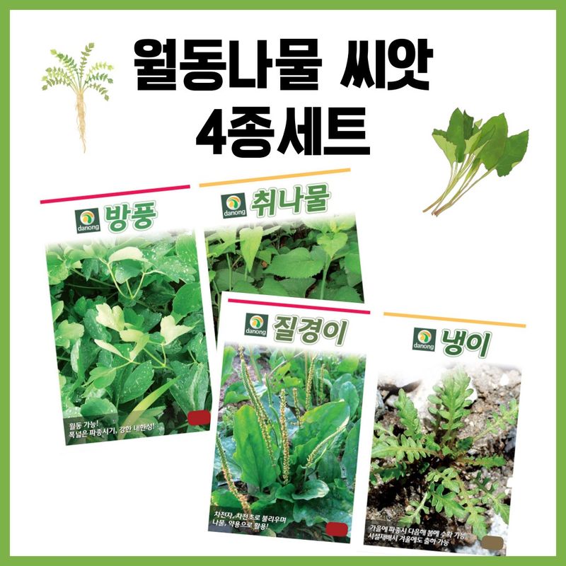 장터 상품 [월동나물 씨앗 4종세트 ( 방풍 냉이 질경이 취 )] 썸네일