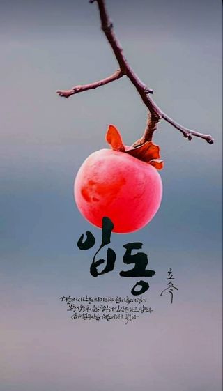 조균원님의 사과 · 영농일지 작성글 사진