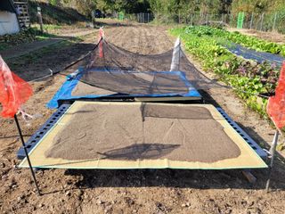 박종섭님의 들깨 · 영농일지 작성글 사진