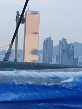 허굴산농장님의 자유주제 · 자유게시판 작성글 사진