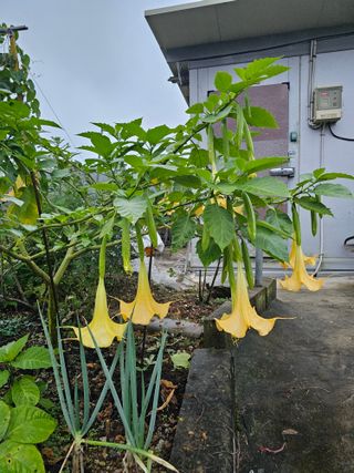 김두영님의 작성글 사진