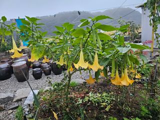 김두영님의 작성글 사진