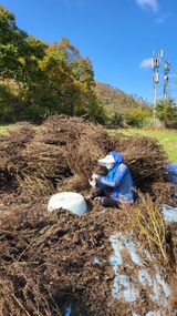 팜모닝 자유주제·자유게시판 게시글 이미지
