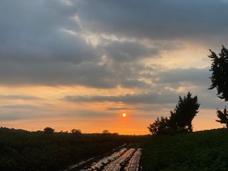 이민정님의 감자 · 자유게시판 작성글 사진