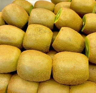 농부손녀님의 작성글 사진