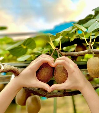 농부손녀님의 작성글 사진