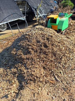 김광수님의 들깨 · 영농일지 작성글 사진