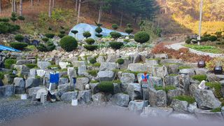 김경수님의 고추 · 영농일지 작성글 사진