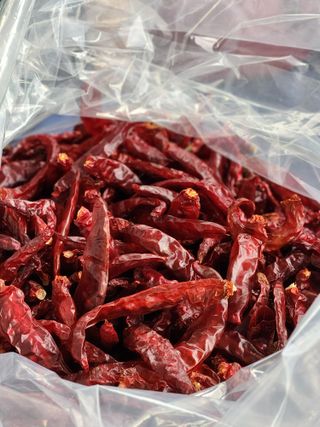 동자개님의 작성글 사진