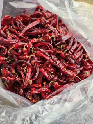 동자개님의 작성글 사진