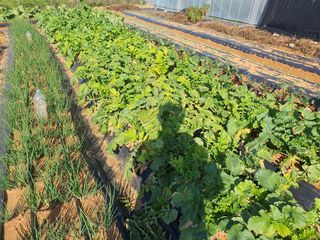 이용순님의 자유주제 · 자유게시판 작성글 사진