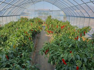 이용순님의 자유주제 · 자유게시판 작성글 사진